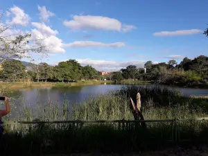 Cancha Nueva Casarapa