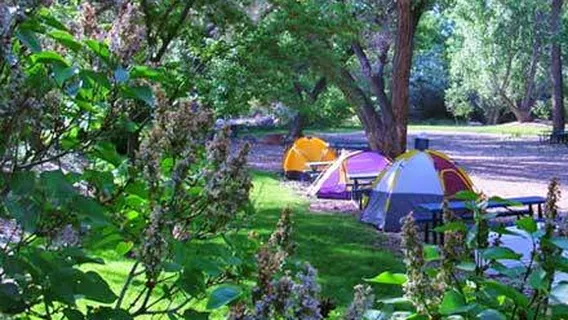 Up the Creek Campground