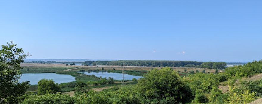"Delta" de la Gârla Mare