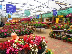 Beechdale Garden Centre Ltd