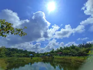 Danau cermin