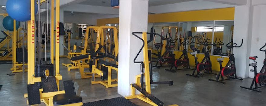 Tiger Gym
