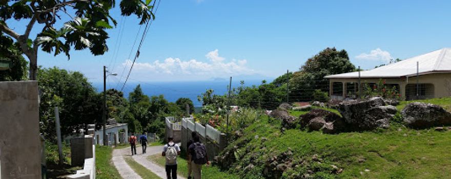 Mt Nevis Summit Trailhead