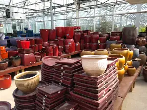 Sipkens Nurseries