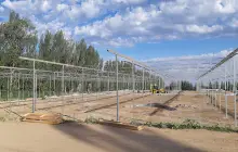 Демонстрационный сад DFSK