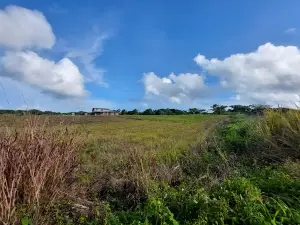 로스 아이로스 볼카닉 공원