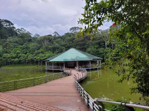 CEA (Centro Experimental Amazonico)