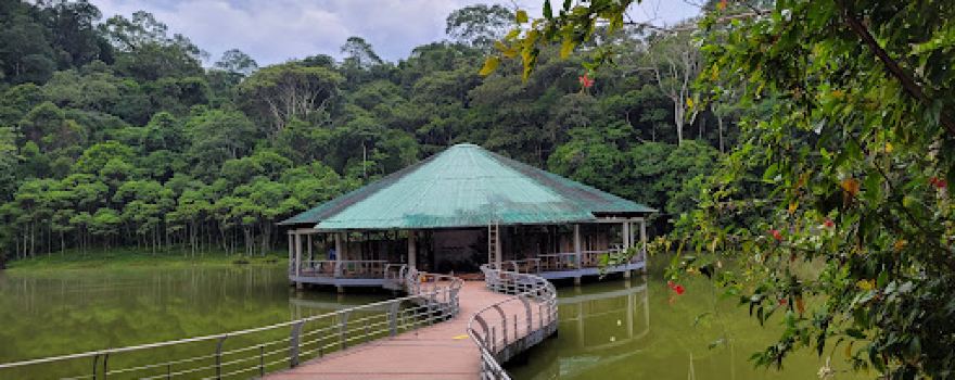 CEA (Centro Experimental Amazonico)