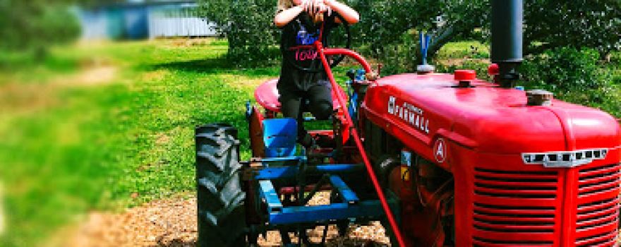 Keiths Farm