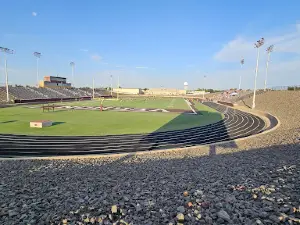 Lion Stadium