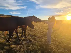 Livno Wild Horses Adventure Tours (Livanjski divlji konji)