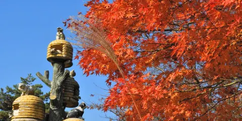 貓ちぐらのモニュメント