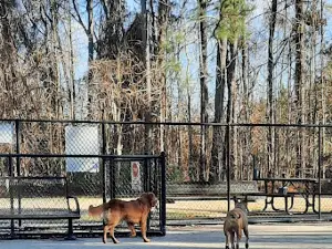 Lake Meade Dog Park