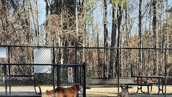 Lake Meade Dog Park