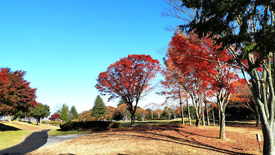 Motegi
