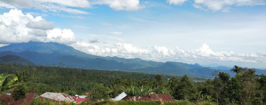 Masjid Darul Falah Pasie Laweh