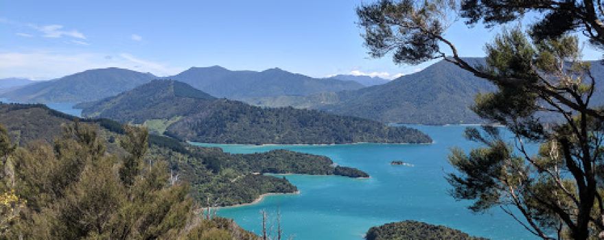 Onahau Lookout