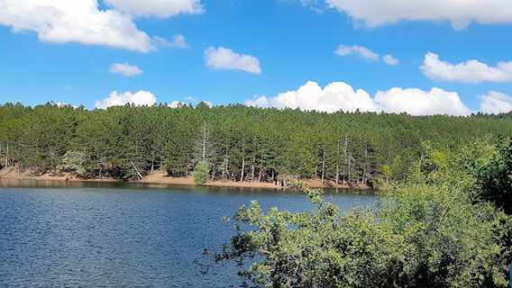 Yozgat Çamlığı Milli Parkı