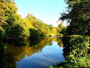 Schwimmzentrum Itzehoe