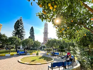 Al Manchieh Park