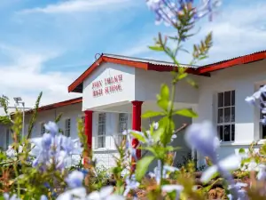 Free Presbyterian Church of Scotland, Ingwenya Mission