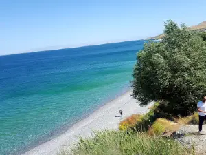 Ayanıs Sahil