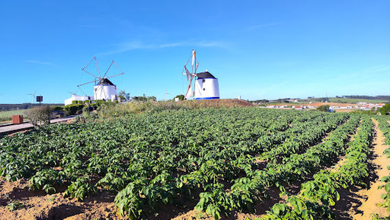 Lourinhã
