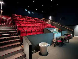 Gold Coast Cinema