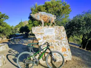 Montes de Málaga Natural Park