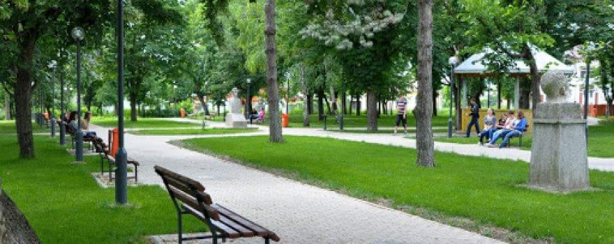 Parcul Tineretului