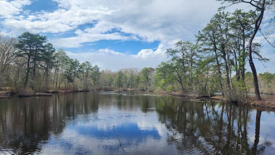 Birch Grove Park