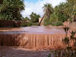 Boussemghoun Palace