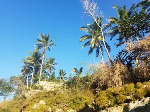 Bride's Waterfall