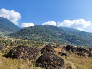 Stone Park