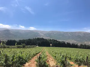 Domaine de Taanayel