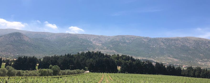 Domaine de Taanayel