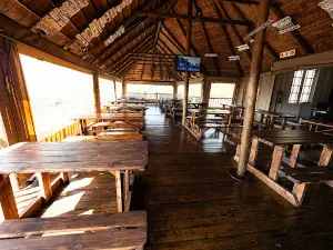 Blue Ocean Dive Resort - Aliwal Shoal Shark Diving