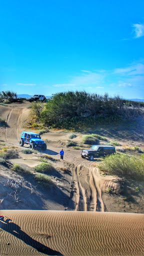 Dunas Del Mogote