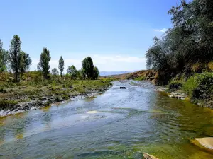 Aşağı Tahirhoca