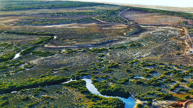 Chinaman Creek Campground