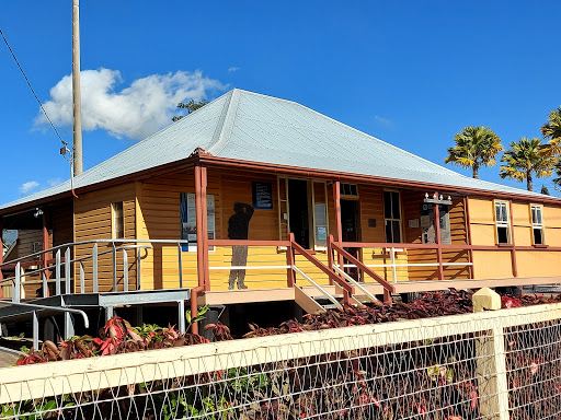 Cardwell Bush Telegraph
