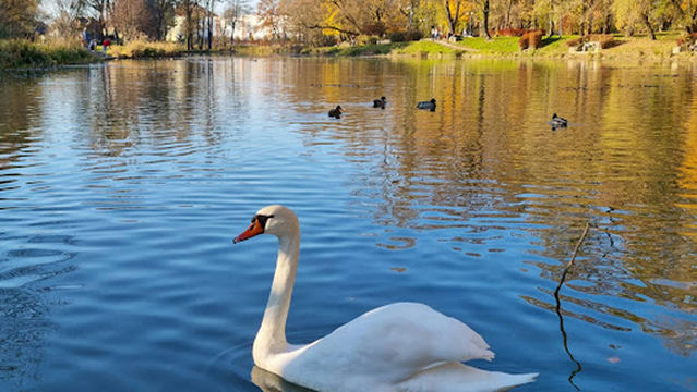 The City Park. march. Jozef Pilsudski