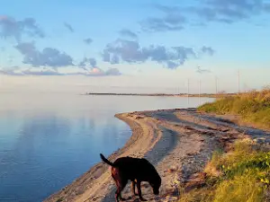 Kite Point