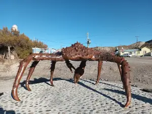 Muelle de Caleta Córdova