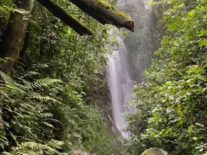 Cascada el milagroso