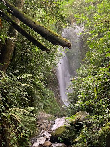 Milagrosa waterfall