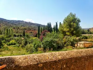 Área Recreativa Molino de Casas Bajas