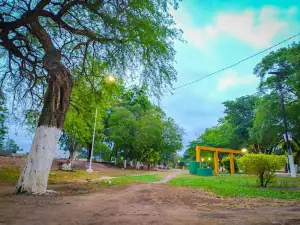 Paseo Dr. Aníbal Nazar