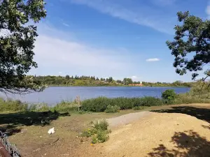 Neepawa Bird Sanctuary
