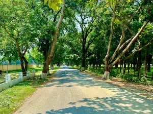 Rajshahi Cadet College Park and Picnic Spot